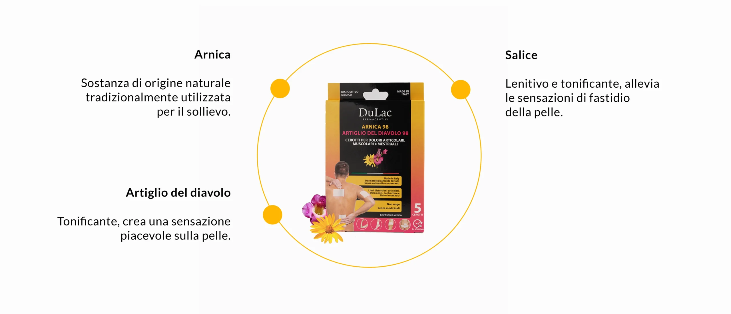 ingredienti cerotti arnica dulac