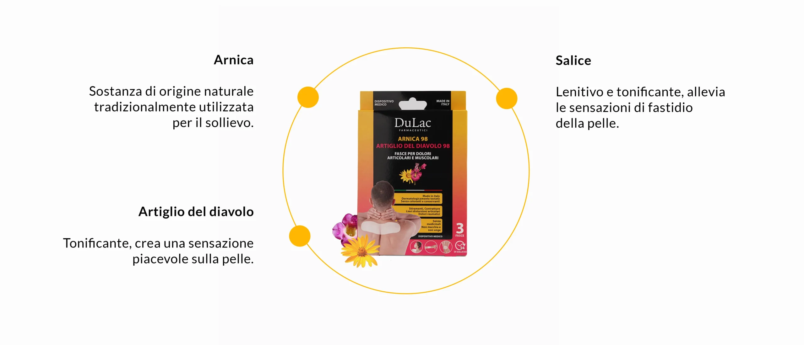 ingredienti desktop fasce anica 98 dulac