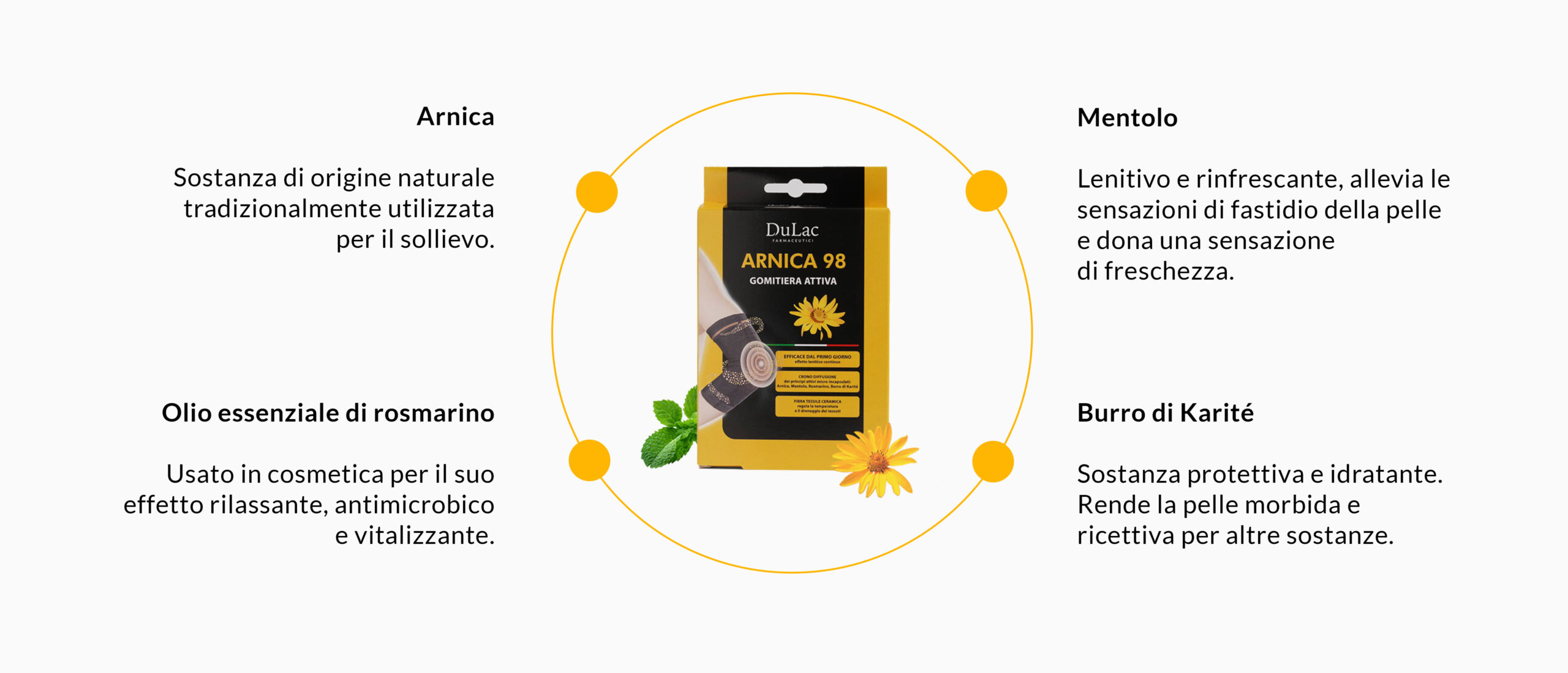 ingredienti gomitiera arnica 98 desktop