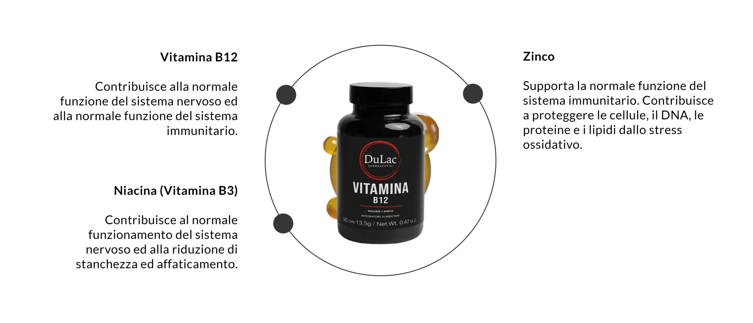 ingredienti vitamina b12 dulac