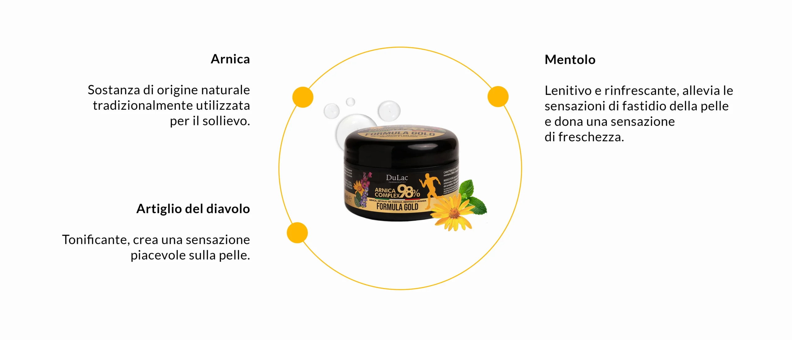 arnica gold ingredienti