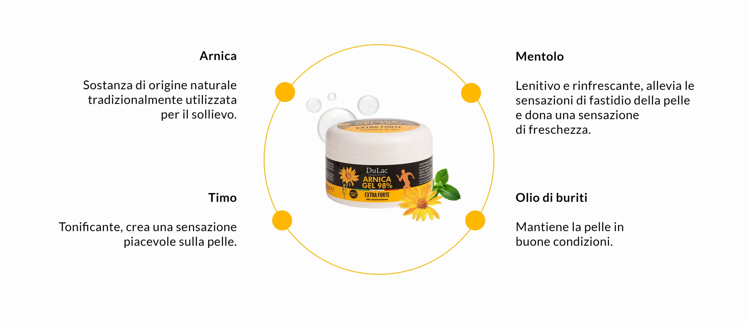 ingredienti arnica 98 dulac immagine desktop