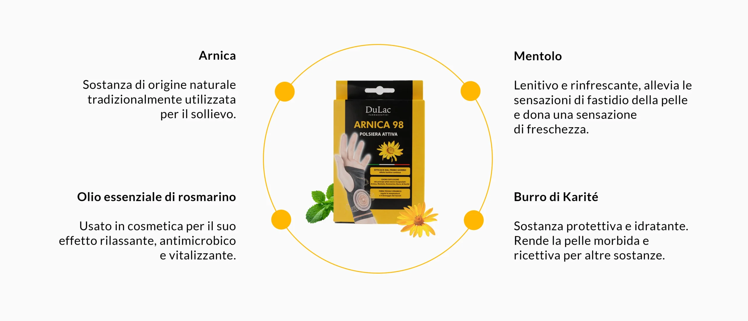 ingredienti polsiera arnica 98 desktop