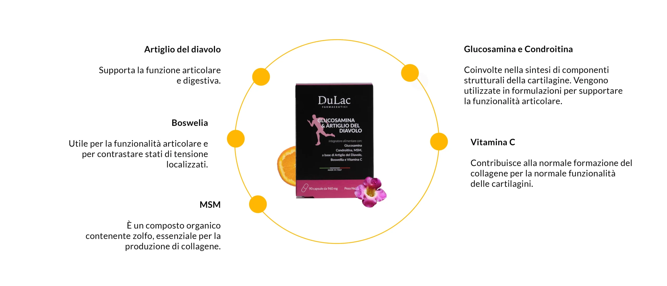 ingredienti integratore glucosamina dulac